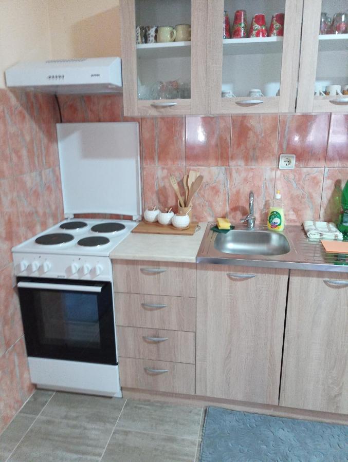 Appartement Valja Mare Moma à Golubac Extérieur photo