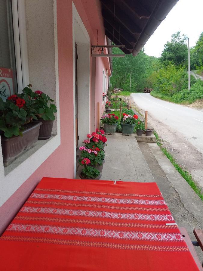 Appartement Valja Mare Moma à Golubac Extérieur photo