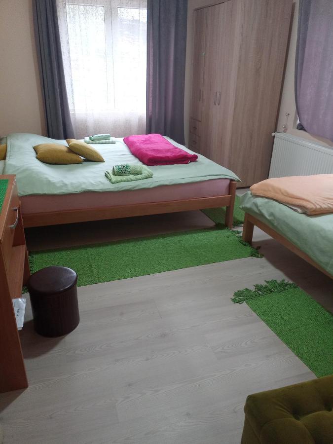 Appartement Valja Mare Moma à Golubac Extérieur photo