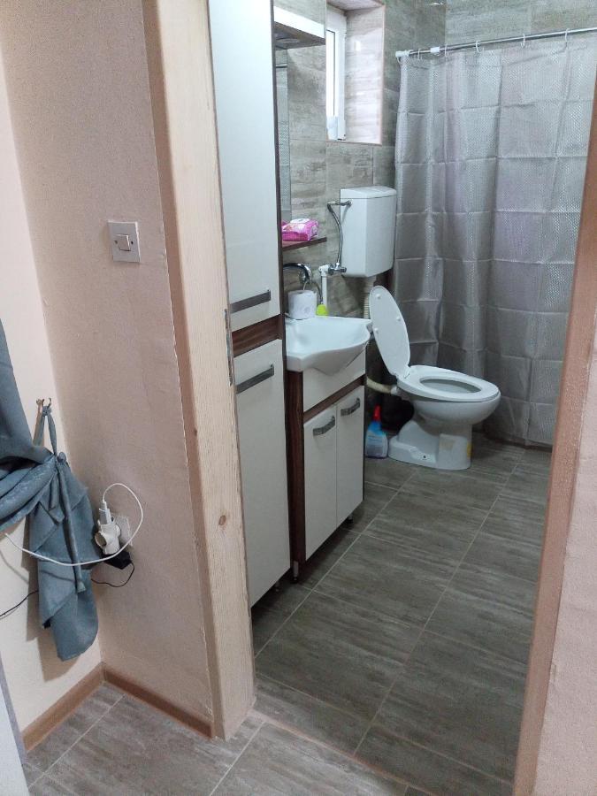Appartement Valja Mare Moma à Golubac Extérieur photo