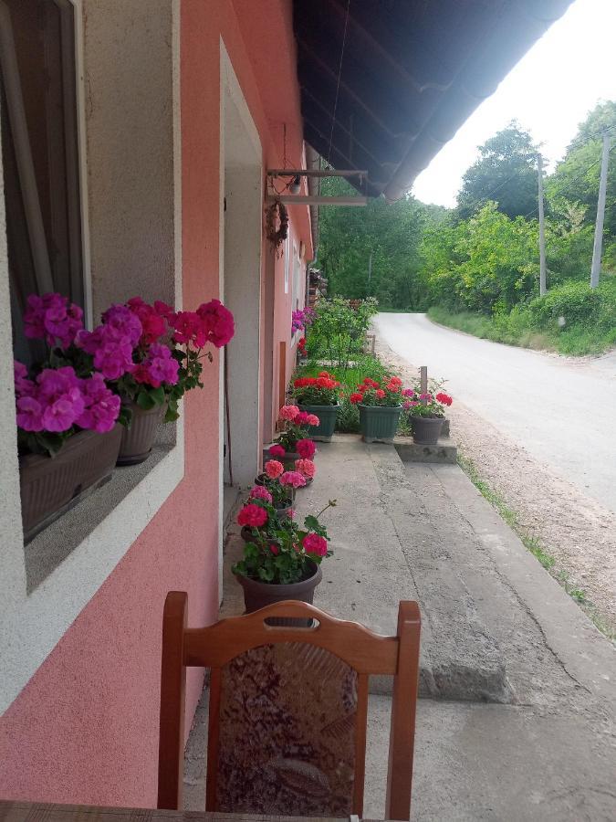 Appartement Valja Mare Moma à Golubac Extérieur photo