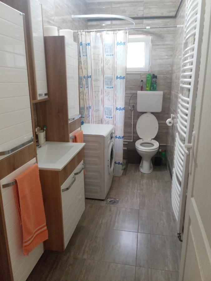 Appartement Valja Mare Moma à Golubac Extérieur photo
